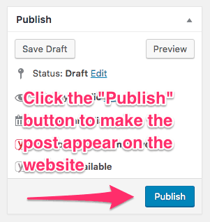 WordPress Publish Button