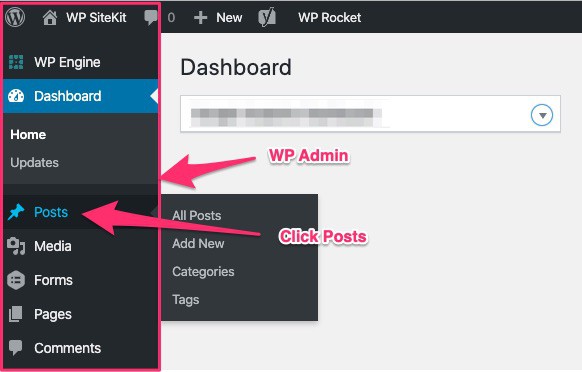 WordPress Admin Posts Button