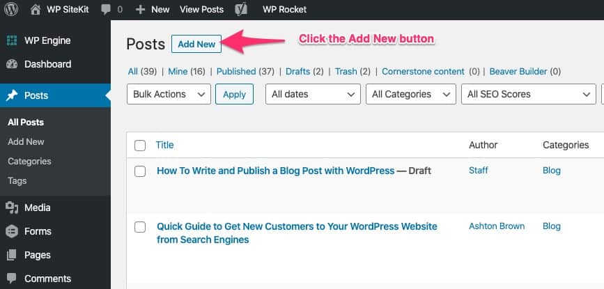 New Post Button in WordPress