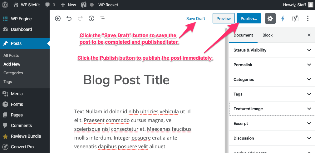 WordPress Publish or Save Draft Button