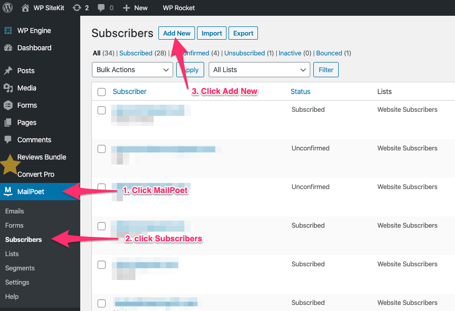On MailPoet Subscribers Screen Click Add New
