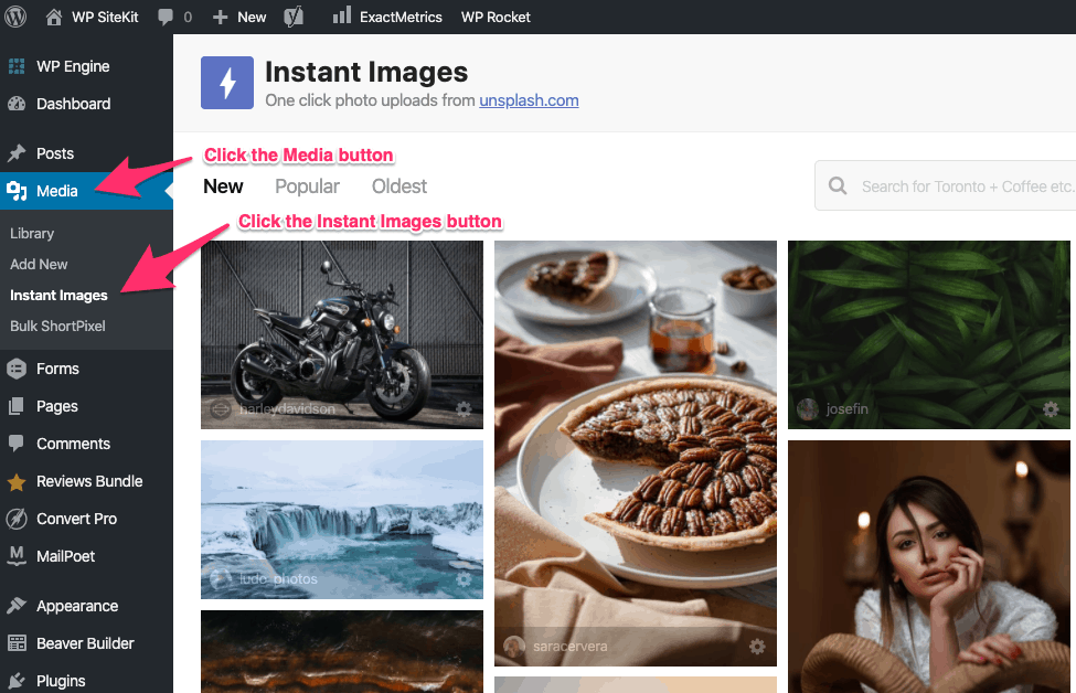 Get a Stock Photo In WordPress with Instant Images
