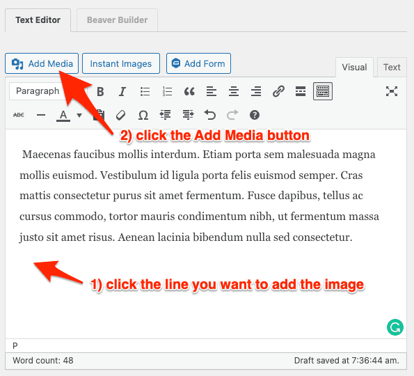 wordpress classic editor add media button